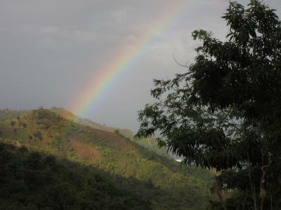 Rainbows in the rainforest