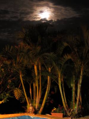 Moonlight over Stoney Chute