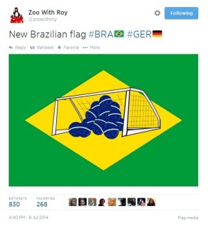 New Brazil flag