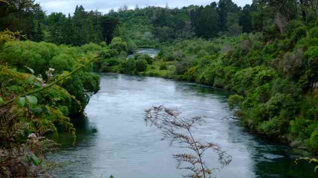 Calm Waikato river and native bush