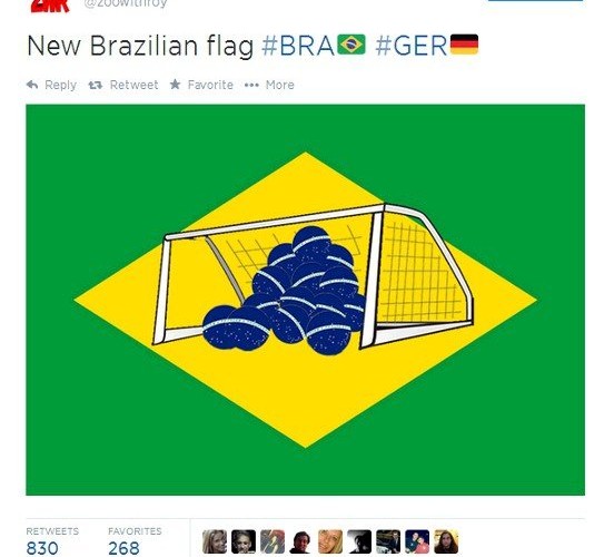 New Brazil flag