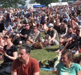 Festival crowd